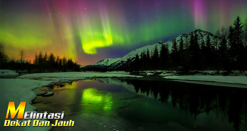 Berburu Aurora Borealis di Langit Malam Murmansk